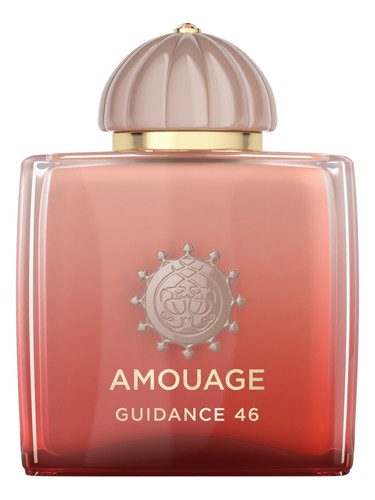 Guidance 46
