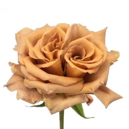Rose Toffee