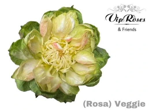 Veggie